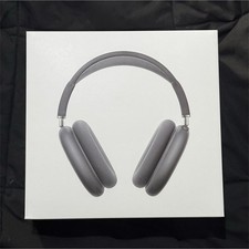 Apple AirPods Max Gray